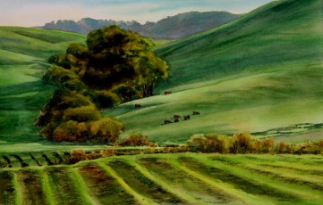 Every Cows Dream - Los Osos Valley Road
