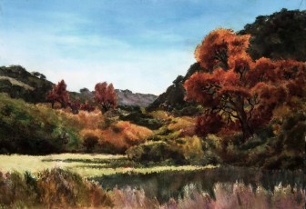 Price Canyon Sycamores