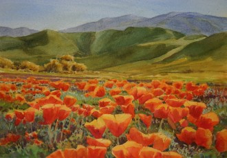 Chimineas Poppies