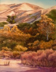 Cotton Tail Creek