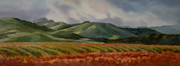 Central Coast Hills & Vines