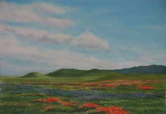 Carrizo Poppies & Lupines
