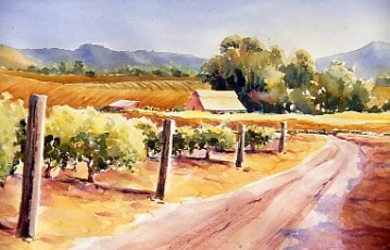 Road Through the Vineyard