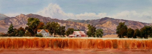 Yolo Briggs Ranch