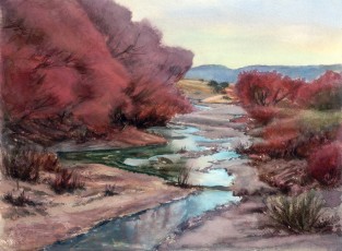 Salinas River Winter