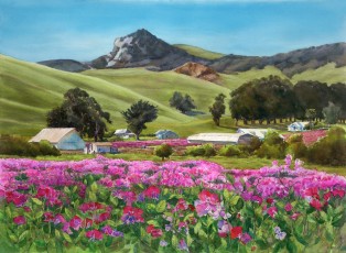 Turri Ranch